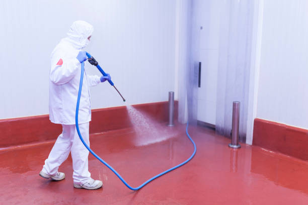 Best Oil Spill Cleanup  in San Fernando, CA