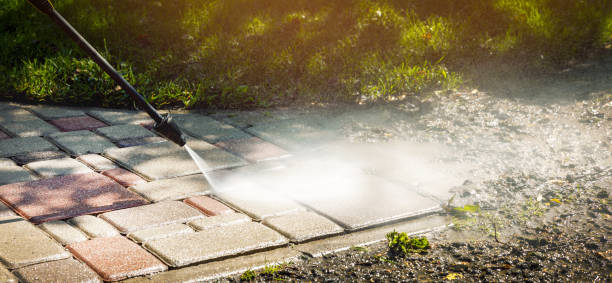 Best Driveway Pressure Washing  in San Fernando, CA